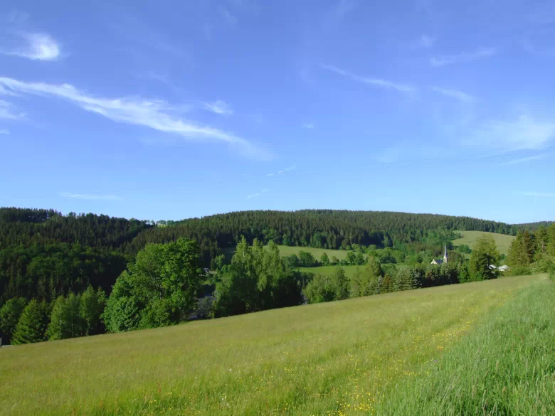 Natur pur im Freiberger Muldental